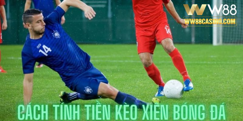 Tìm hiểu hình thức tính tiền thưởng của kèo xiên trong thể thao